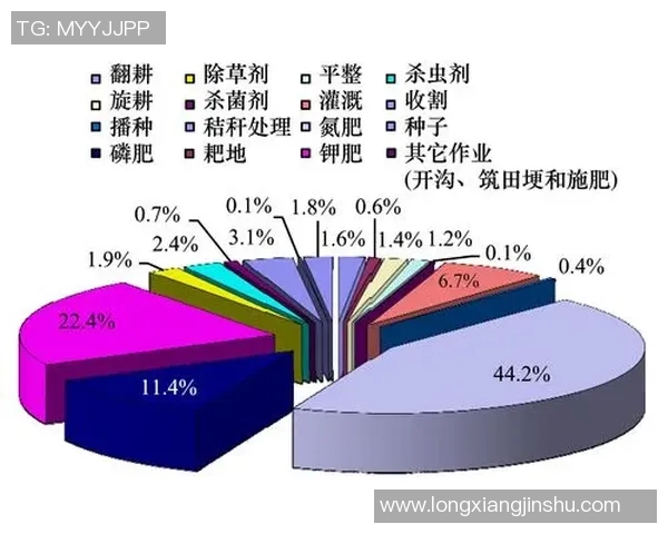 上海乒乓球队在挑战赛中的速度表现分析与点评探讨