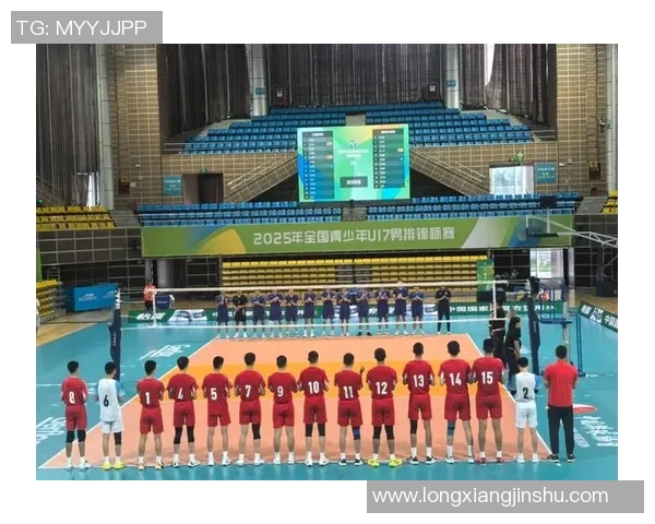上海排球队灵活性创新高引发全国关注排球界新标杆诞生
