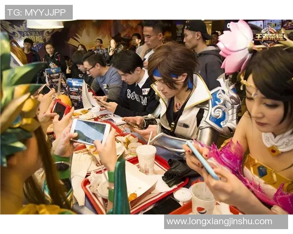 广州篮球队的奋斗历程与荣耀追寻全景纪实